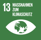 Sustainable Development Goals (SDGs)